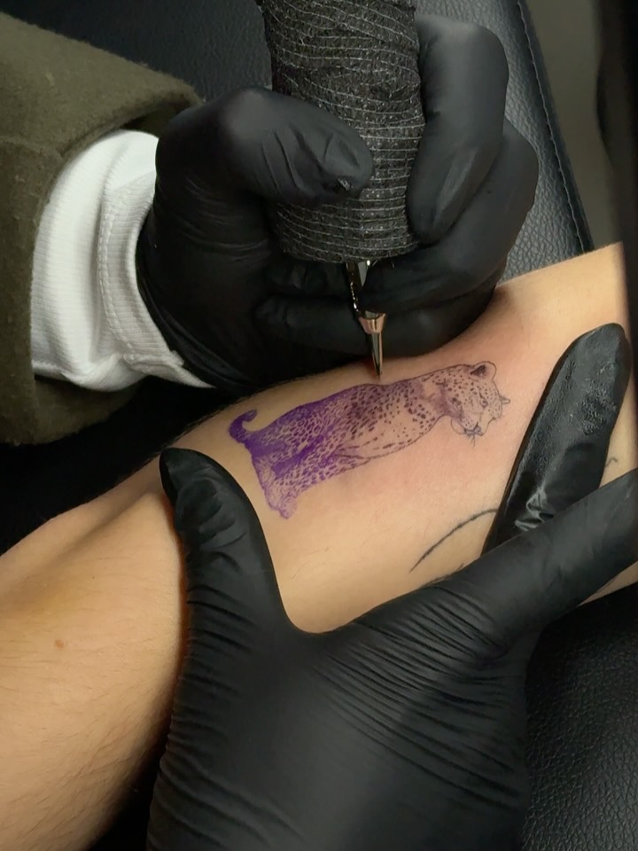 Eres tan absolutamente bonito que te mereces estar en el feed para siempre, lindo gatito 🐆