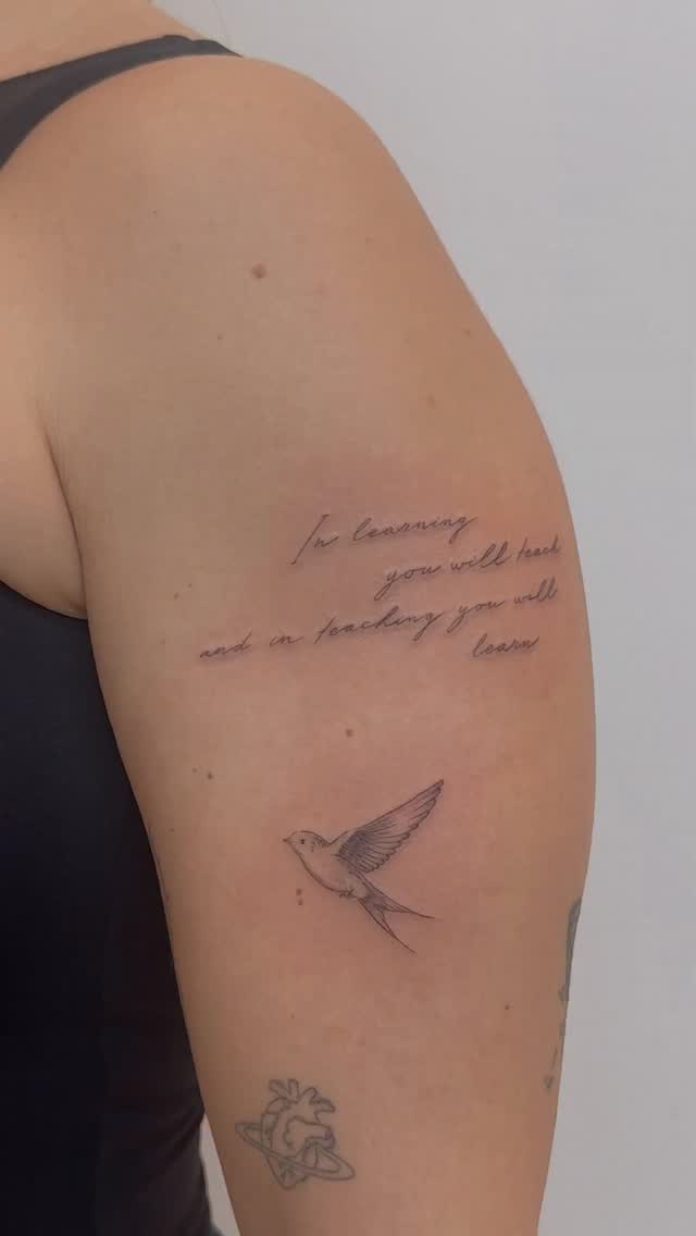 🪄🪄🪄🪄🪄🪄